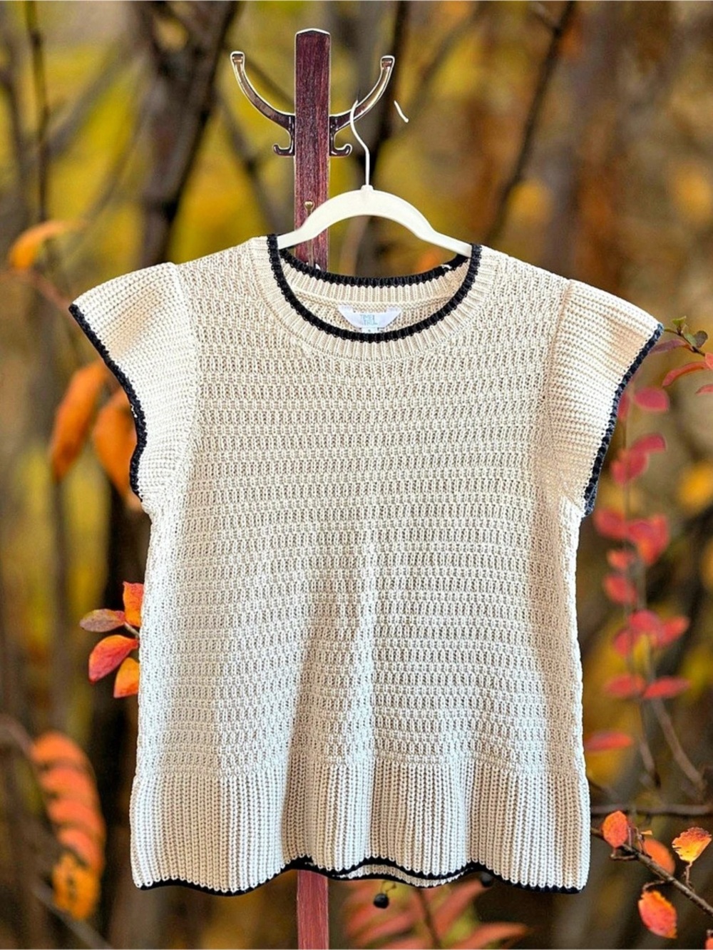 Women’s Fall Short Sleeve Knit Sweater Top in Cream & Black Size Small 4-6